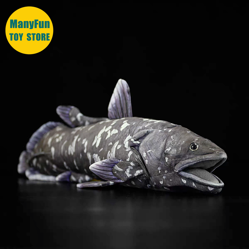 Realistic Coelacanth Plush Toy – обзор и цена Kids Toys Unique