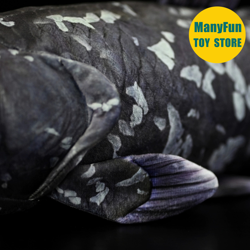 Realistic Coelacanth Plush Toy – обзор и цена Kids Toys Unique