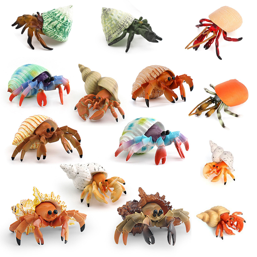 Realistic Hermit Crab Figurine – обзор и цена Kids Toys 3 Year Old