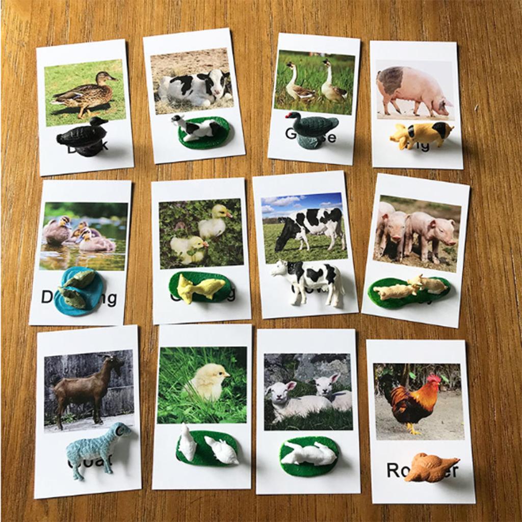 Animal Model Card Set Montesso – обзор и цена Kids Toys In Store