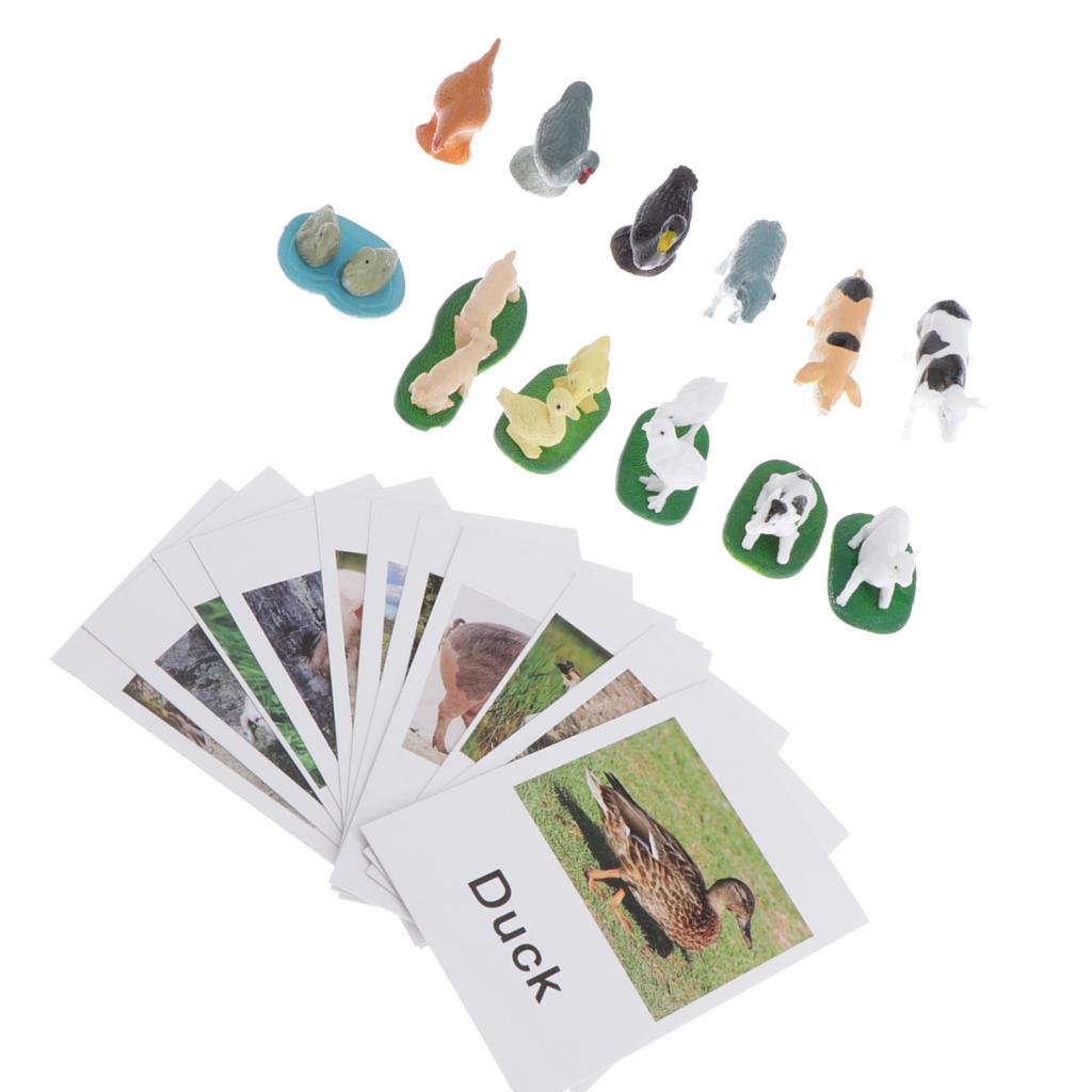 Animal Model Card Set Montesso – обзор и цена Kids Toys In Store